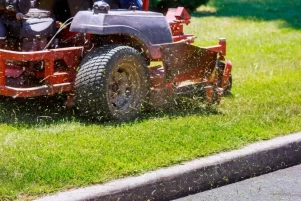 Lawn Mowing