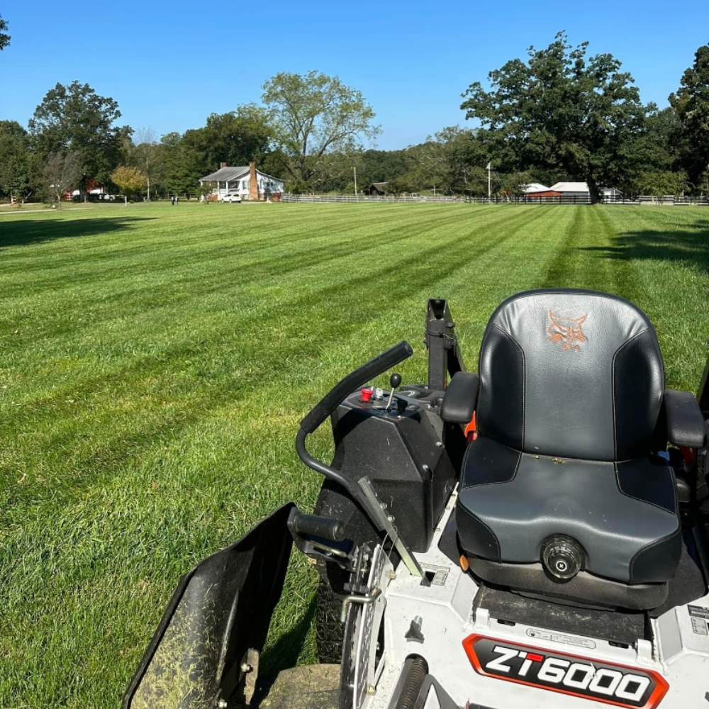 Above%20&%20Beyond%20Lawn%20Care